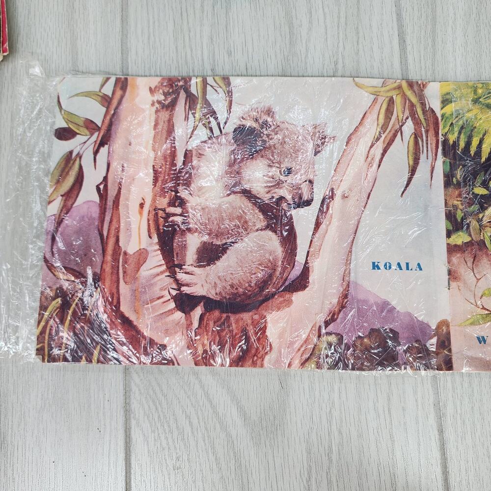 Vintage 1953 Australian Animals Children’s Book Photograpatures Illustrated - Picture 8 of 16